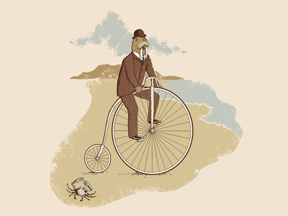 Illustration of a walrus riding a penny-farthing bicycle